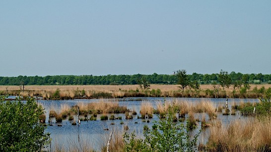 Drentse landschap, foto Hans Dekker