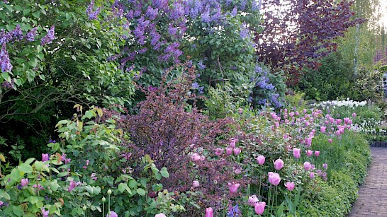 De Tuinerie adviseert over een tuin met veel afwisseling die vroeg in bloei staat.