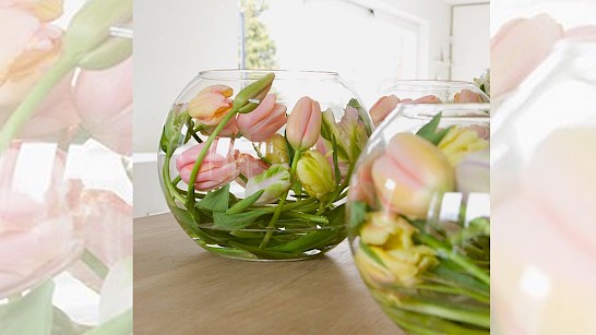 Voorjaar in huis met tulpen