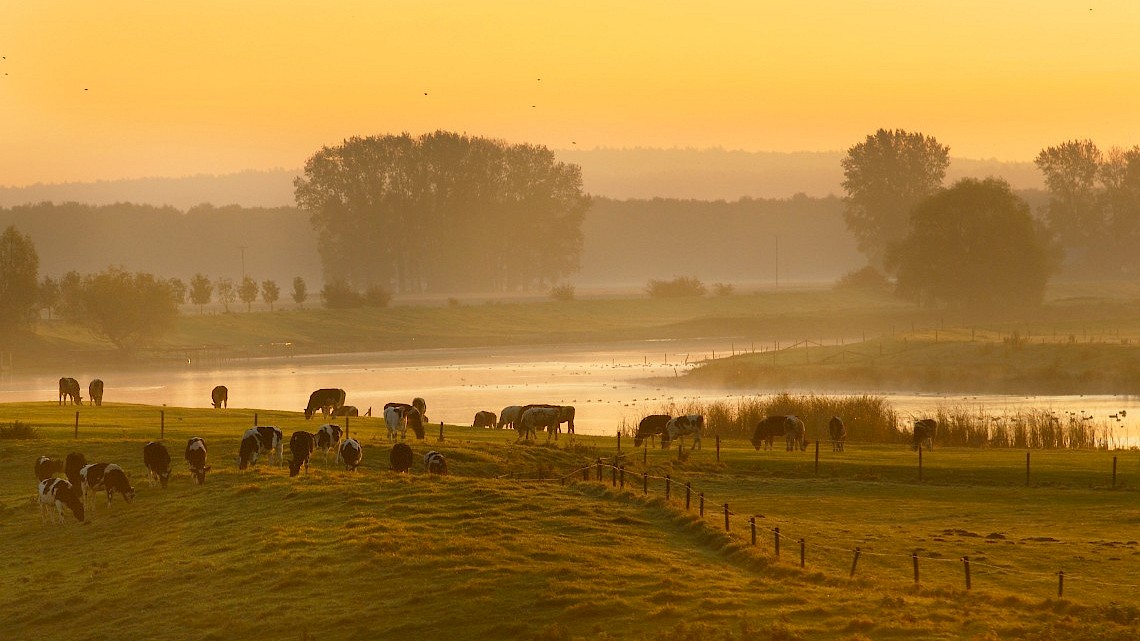 Naoberschap op het platteland